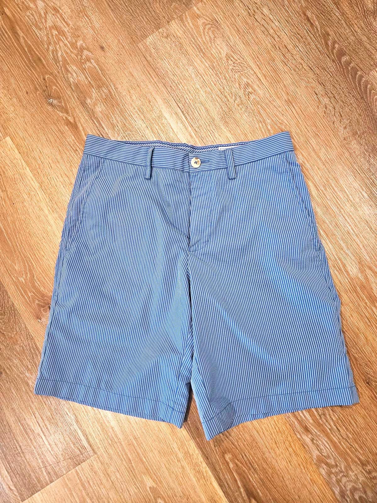 Southern Tide Men's Casual Blue Pinstripe Shorts-30
