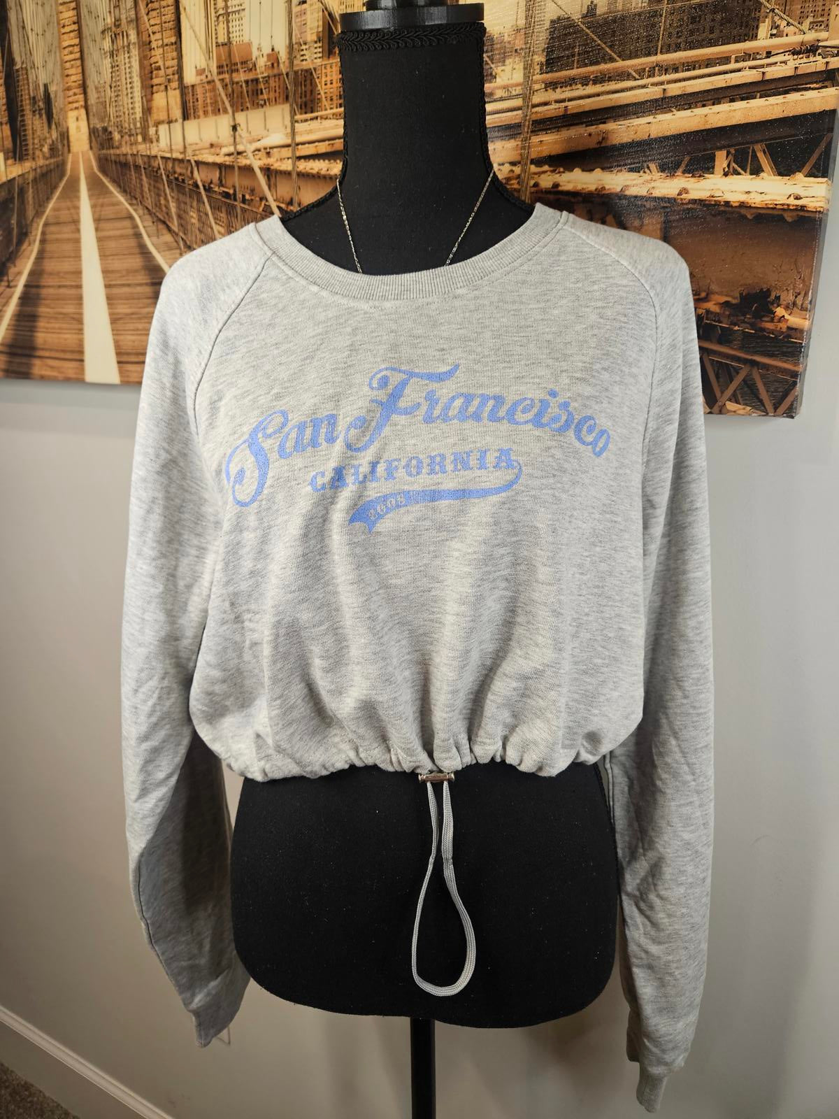 Nwot Bershka San Francisco Graphic Cropped Sweatshirt