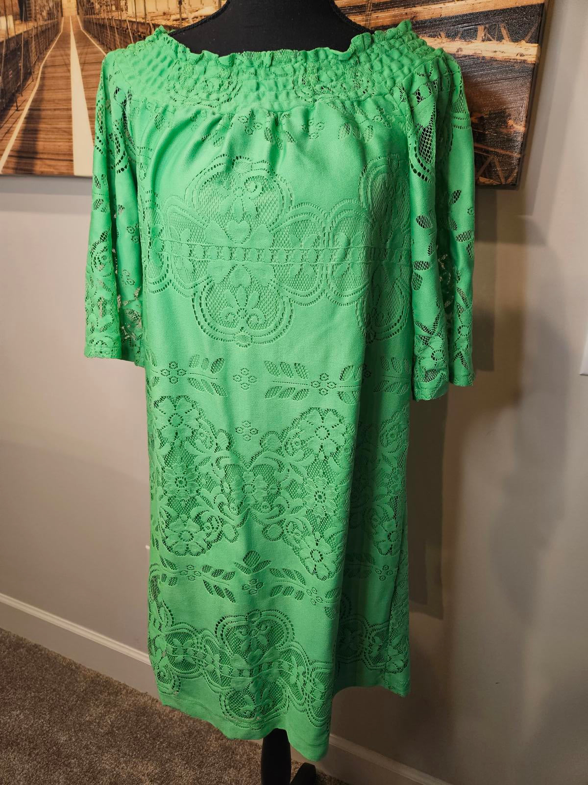 New York & Company Green Lace Dress #223