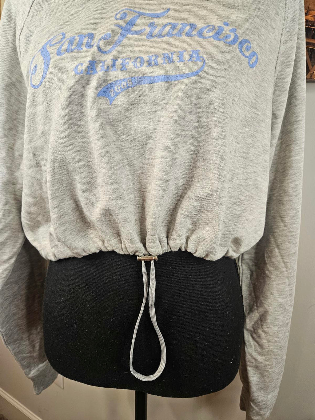 Nwot Bershka San Francisco Graphic Cropped Sweatshirt