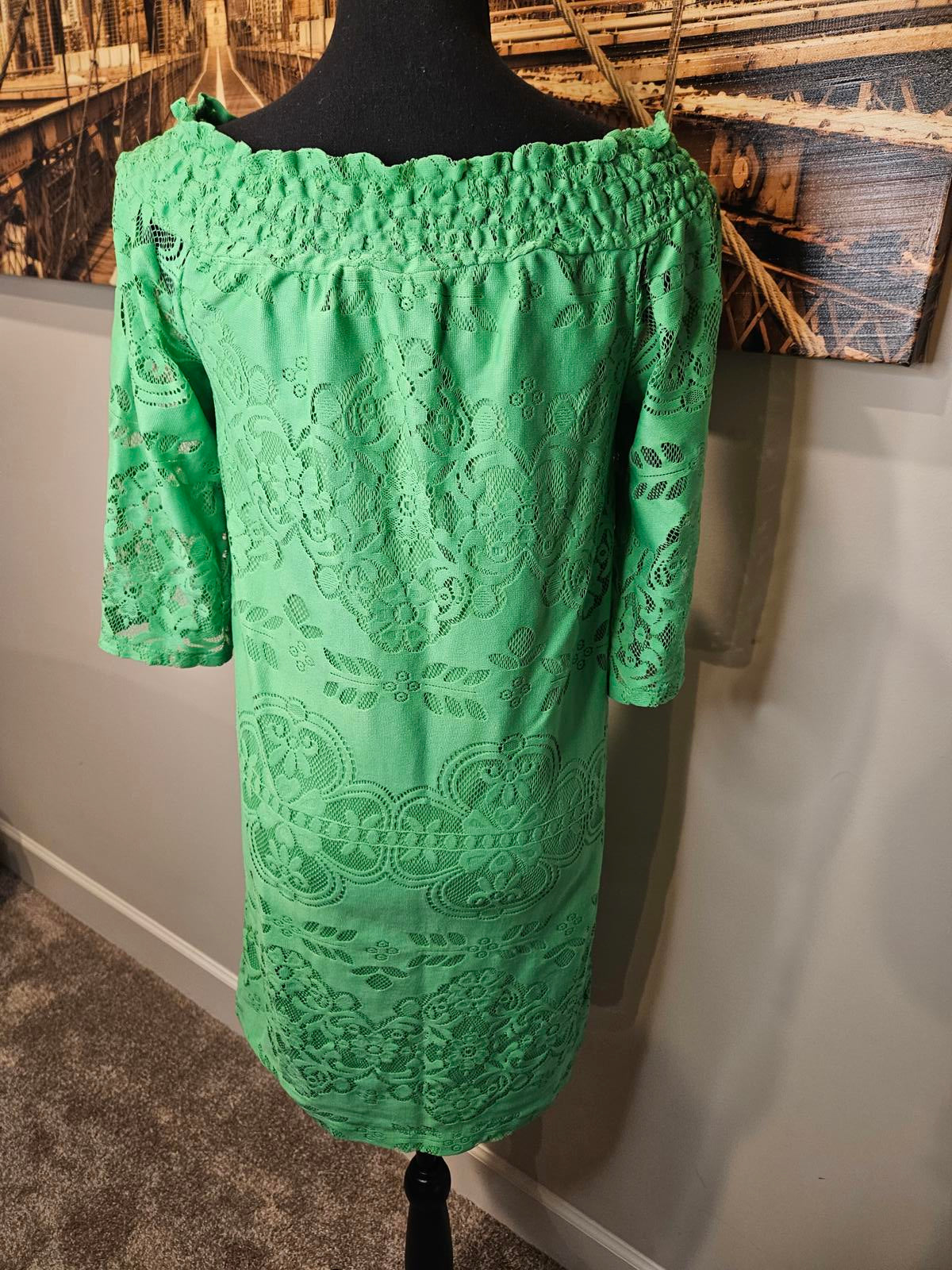 New York & Company Green Lace Dress #223