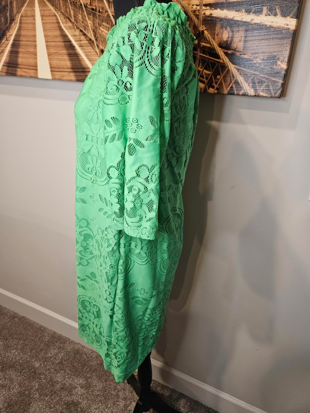 New York & Company Green Lace Dress #223