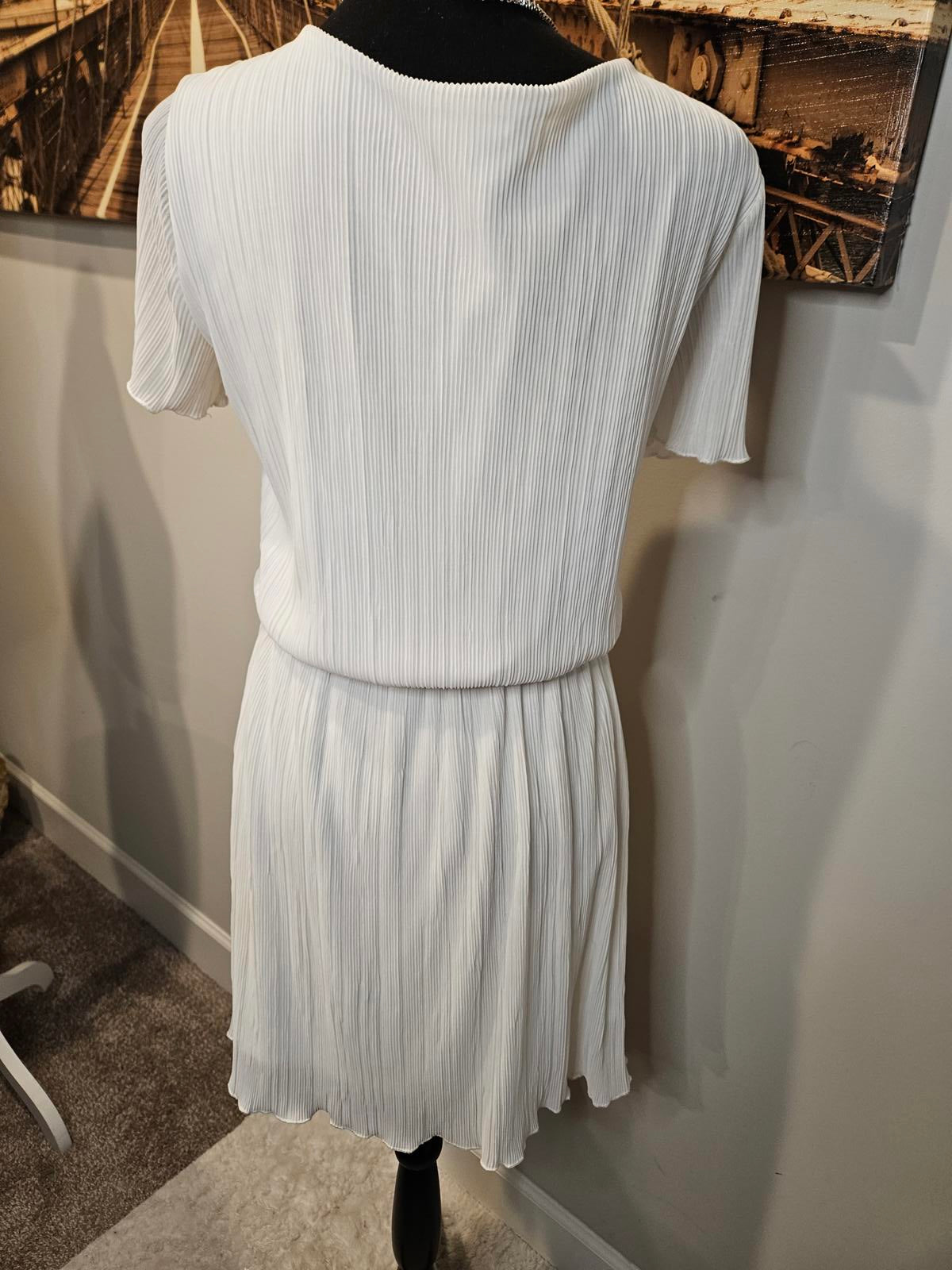 Leith Pictures Don't Do this Dress  #399